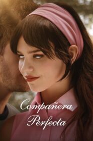 Compañera perfecta